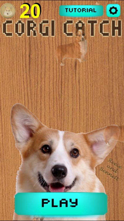 Corgi Catch screenshot-4
