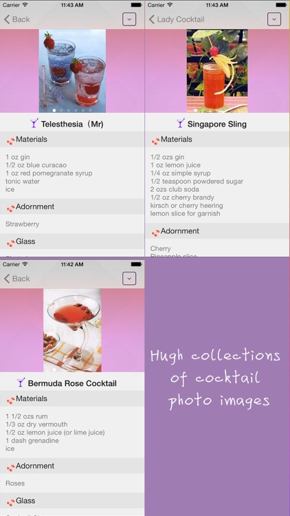 Cocktail drinks: recipes & image