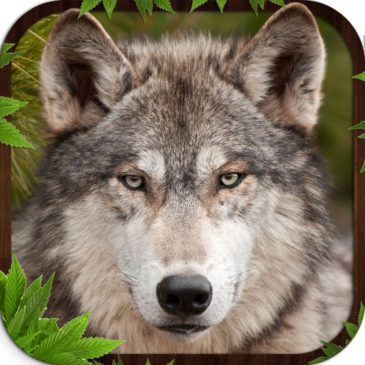 Wolf Simulator 3D Game Icon