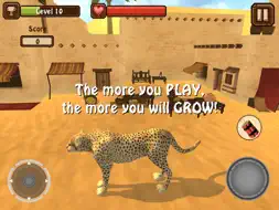Cheetah Revenge 3D Simulator screenshot 5