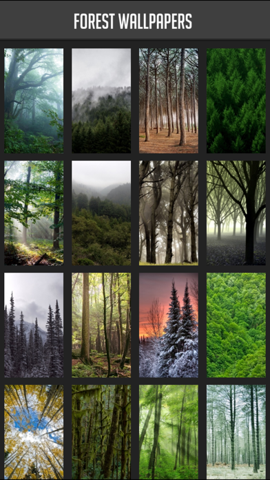 Screenshot #1 pour Forest Wallpapers