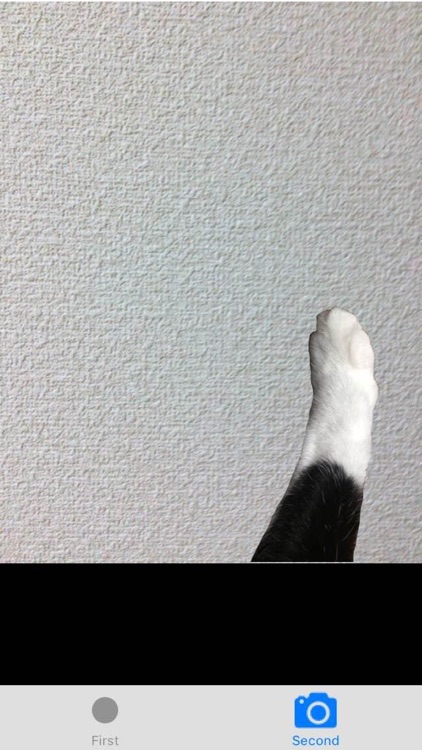 壁ドンcamera screenshot-4