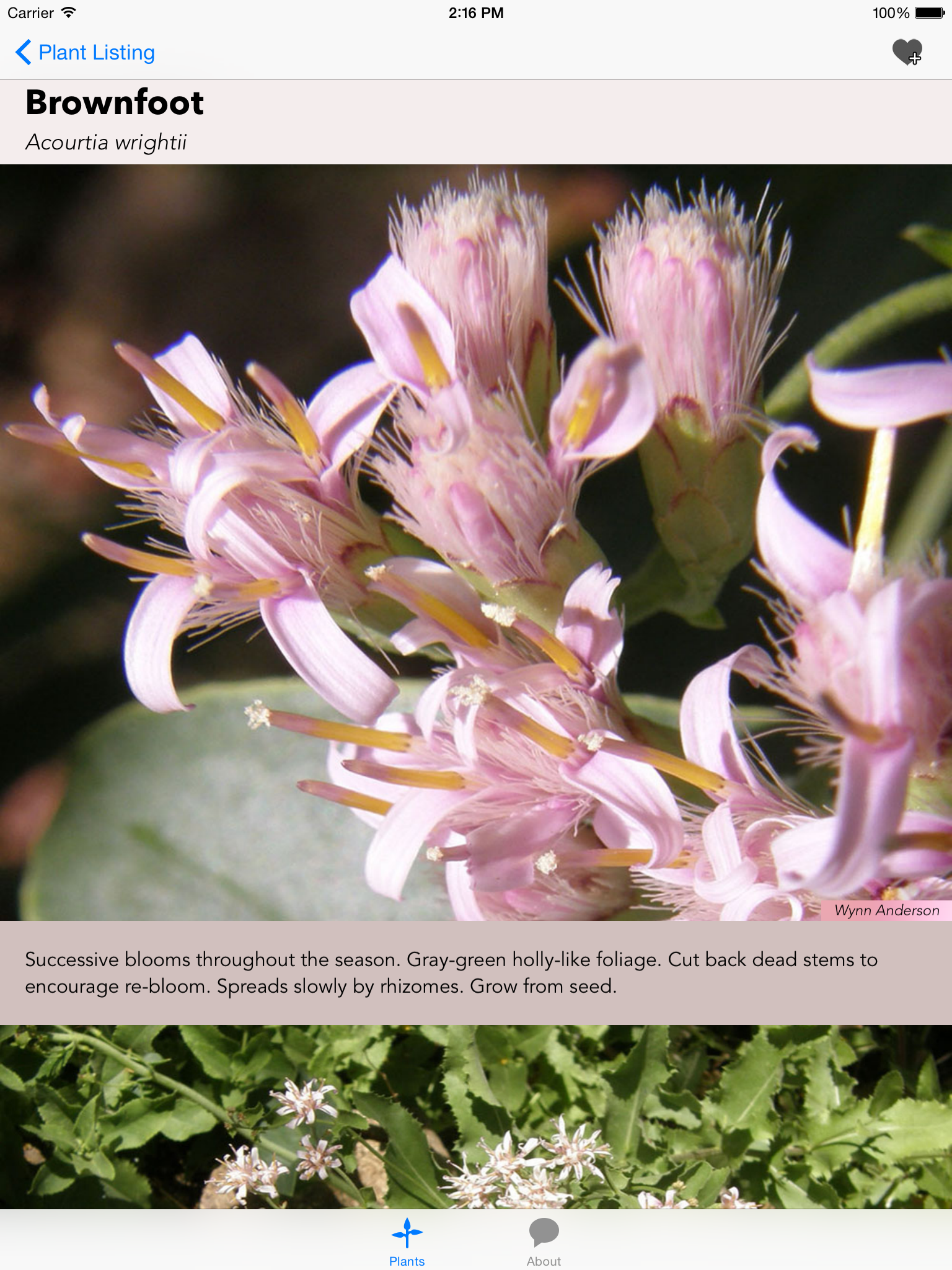 Southwest Plant Selector