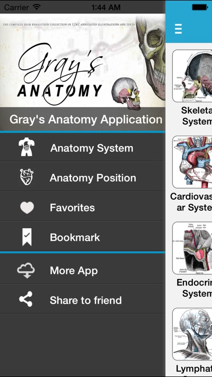 Gray's Anatomy 2014