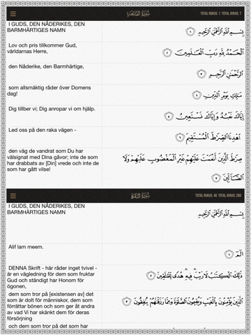 Screenshot #5 pour Quran Swedish