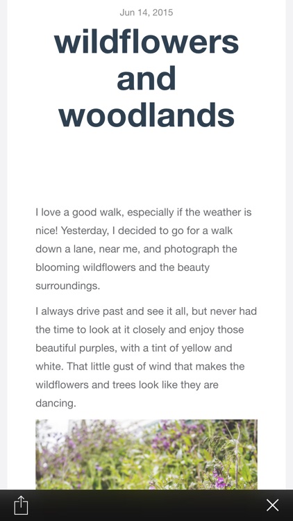 Rebekah Collins Photography screenshot-4