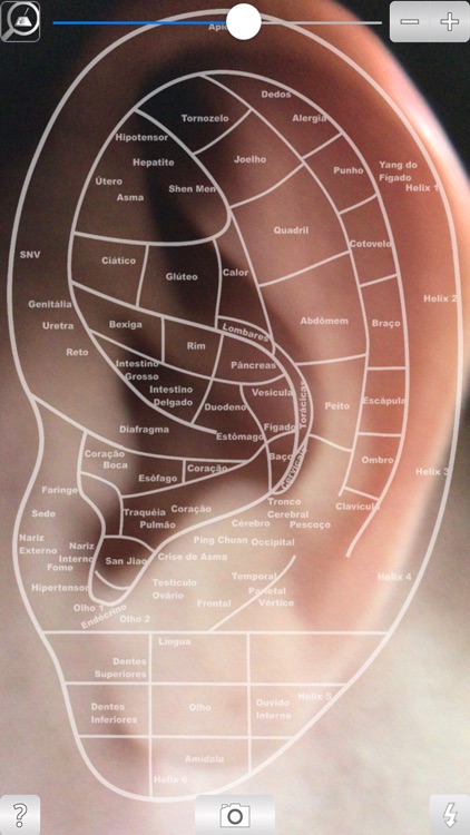 AcuMapa: Easy Acupuncture