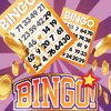 Aaaah Bingo! Fun & Cute Family Jackpot Casino Game