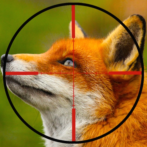 Fox Hunter Gold Icon