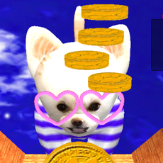 Activities of Coin Dog