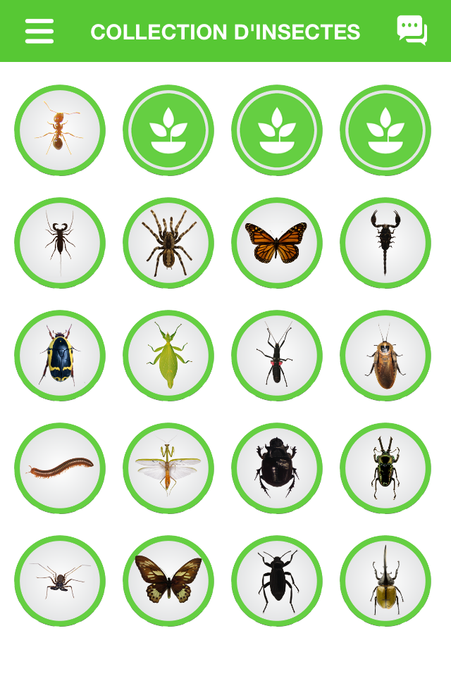 Génial à lInsectarium