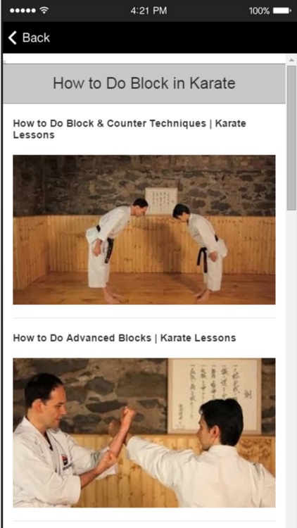 Karate Techniques - Learn Basic Karate Moves Easily screenshot-3