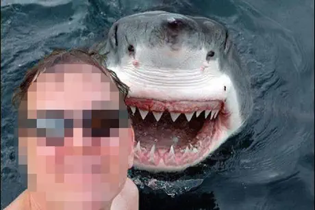 Fake Selfie Free