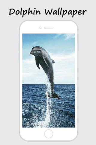 Dolphin Wallpapers - Best Collections Of Dolphin Pictures screenshot 2