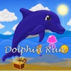 Dolphin Run 1.0