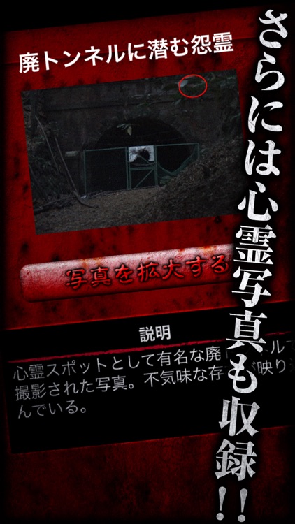 アプリ版「いる。」無料心霊投稿動画＆心霊体験談　その１ screenshot-4