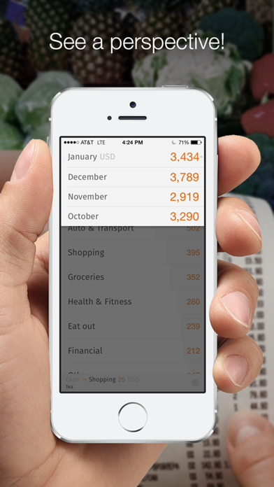 Expense tracker HomeMoney Screenshot