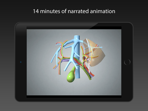 Screenshot #5 pour Surgical Anatomy of the Liver