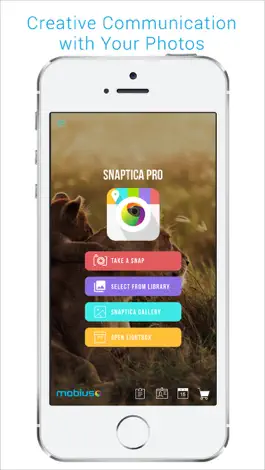 Game screenshot Snaptica Pro mod apk