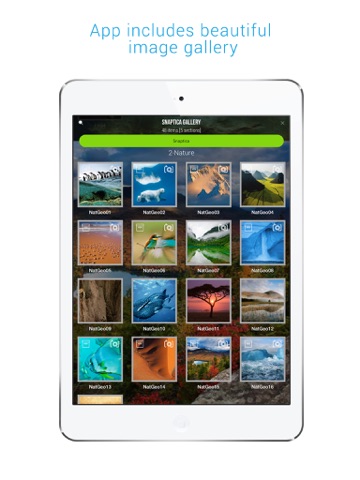 Snaptica Pro iPad screenshot 5 - Photo & Video app