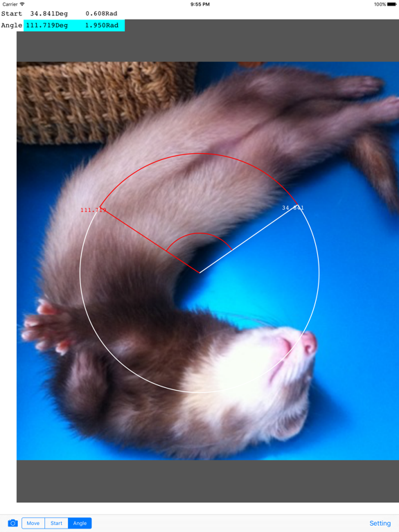 Screenshot #4 pour Photo Protractor