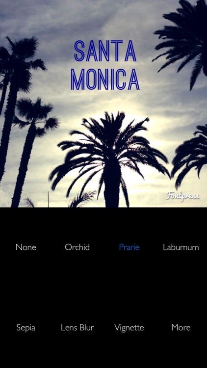 Fontpress Free: Caption Photos and Write Over Pictures with Beautiful Typography and Image Filter Effects screenshot-4