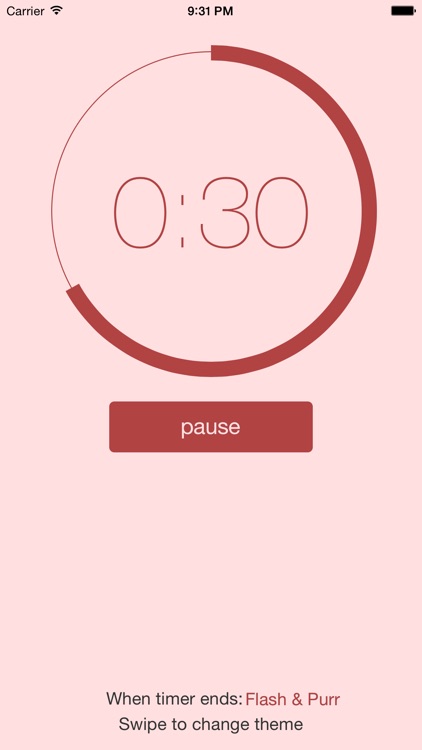 Timey: Professional Presentation Timer screenshot-3