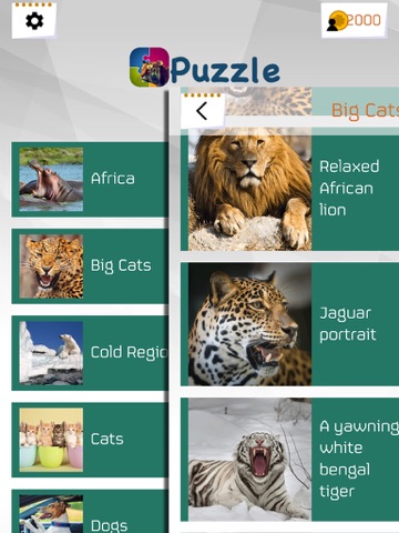 Animal Puzzle Game HD iPad screenshot
