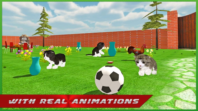 Crazy Kitty Cat Madness 3D