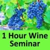 Learn everything about wine in just 1 hour!