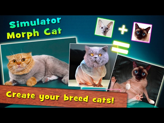 Screenshot #5 pour Simulator Morph Cat