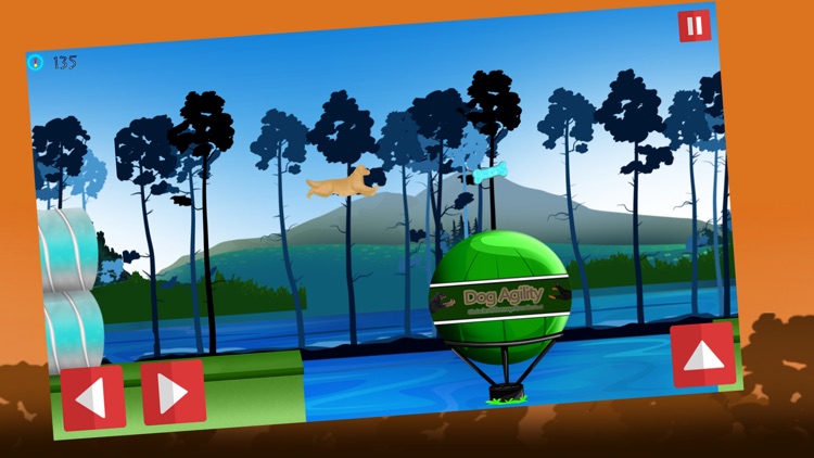 Dog Agility 2 : The dressage race contest - Free