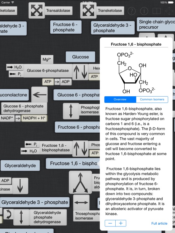 Medical Biochemistry