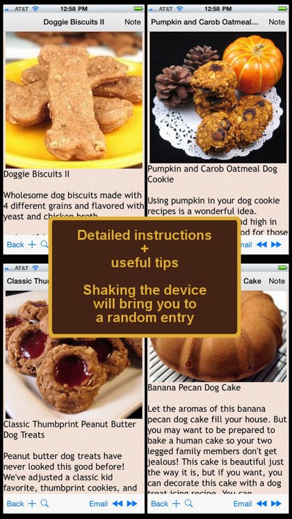 250 Pets Recipes