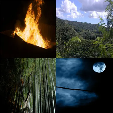 Nature Sound Effects Free!! Читы