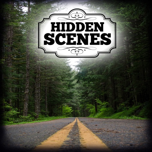Hidden Scenes - Summertime iOS App