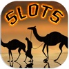 Sahara Desert Way Of Fortune Slots - FREE Slot Game Las Vegas A World Series