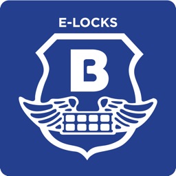 Brinks E-Locks