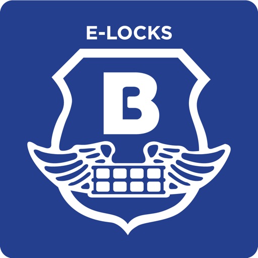 Brinks E-Locks