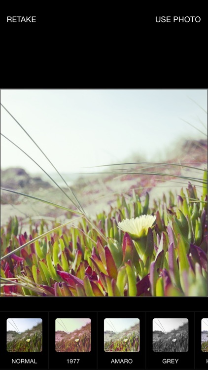 Greetings Card: Thông điệp yêu thương screenshot-3