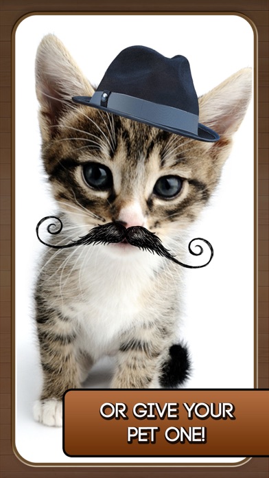 Screenshot #2 pour Mustache Booth - A Funny Facial Hair Photo Editor
