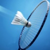 Badminton 101: Reference with Tutorial Guide and Latest Events