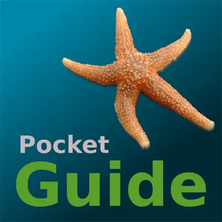 Pocket Guide UK Seashore Читы