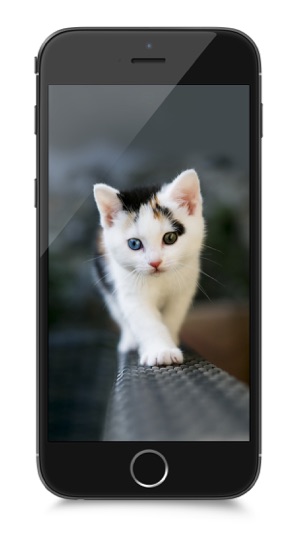 80,000+ Wallpapers for iOS 8 and iPhone 6/iPhone 6 Plus(圖2)-速報App