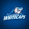 West Michigan Whitecaps