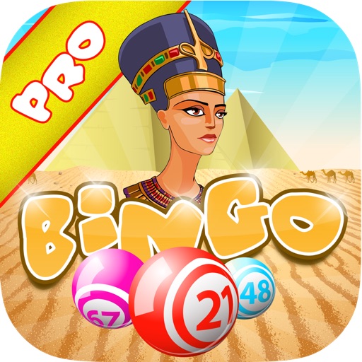 Nerfetiti Bingo PRO - Hit it for Gold iOS App