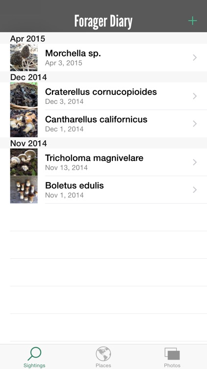 Forager Diary
