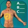 Acupuncture Quiz - Point Locations - iPhoneアプリ