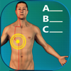 Acupuncture Quiz - Point Locations - GraphicVizion