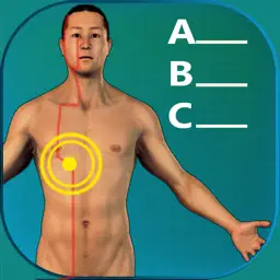 Acupuncture Quiz - Point Locations app icon